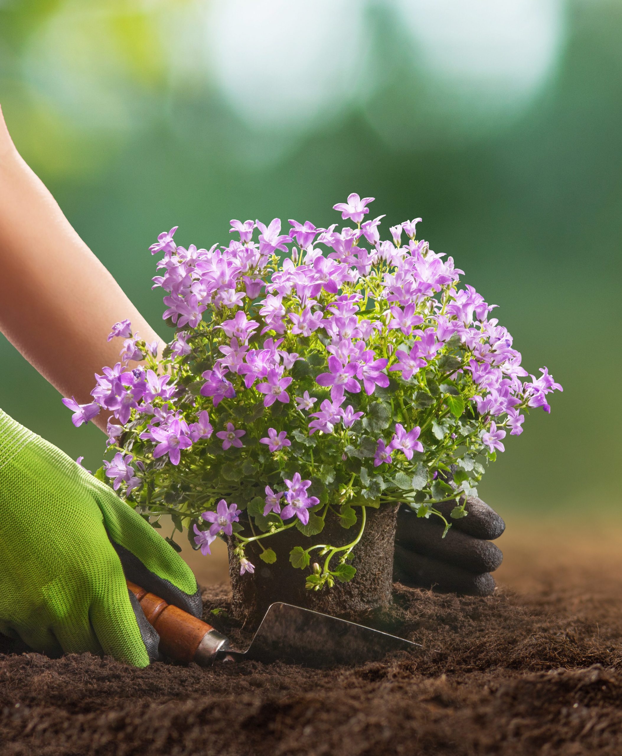 Terra%20Soil%20Gübre%20Üreticisi%20 %20Organik%20Gübre,%20Toprak%20Karışımları,%20Higro%20Agro%20Gübreler%20ve%20Sıvı%20Gübre%20Çeşitleri%20Üretimi%20 %20Toprağınıza%20Değer%20Verir,%20Verimlilik%20Sağlar